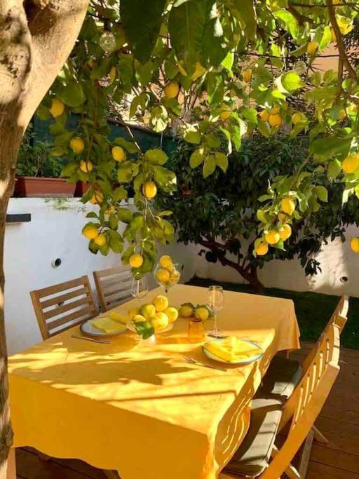 Casa Dei Limoni