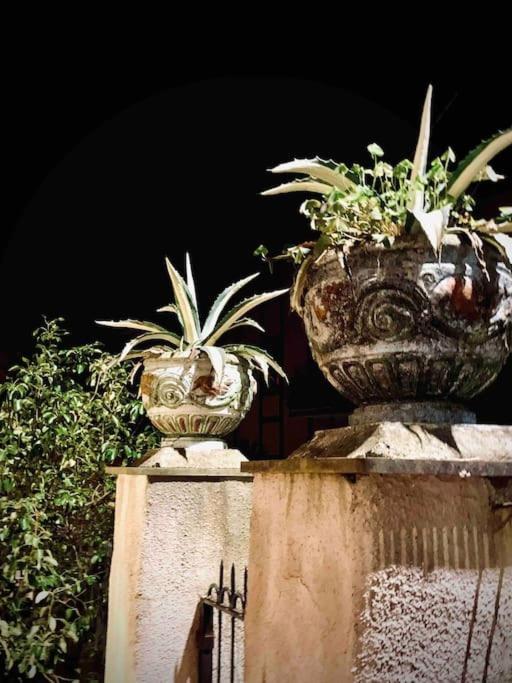 Casa Dei Limoni Appartamento *